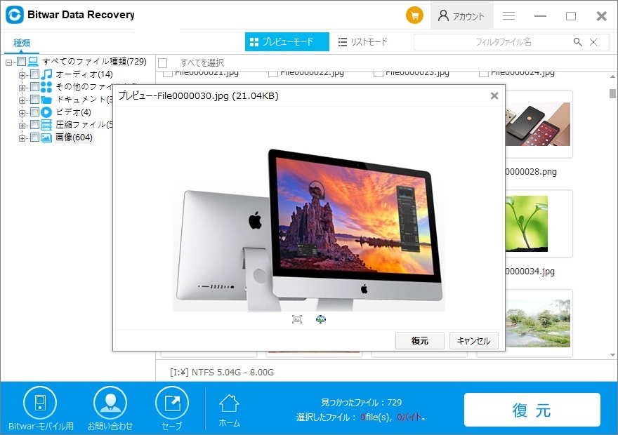 Bitwarデータ復元ソフトプレビュー4