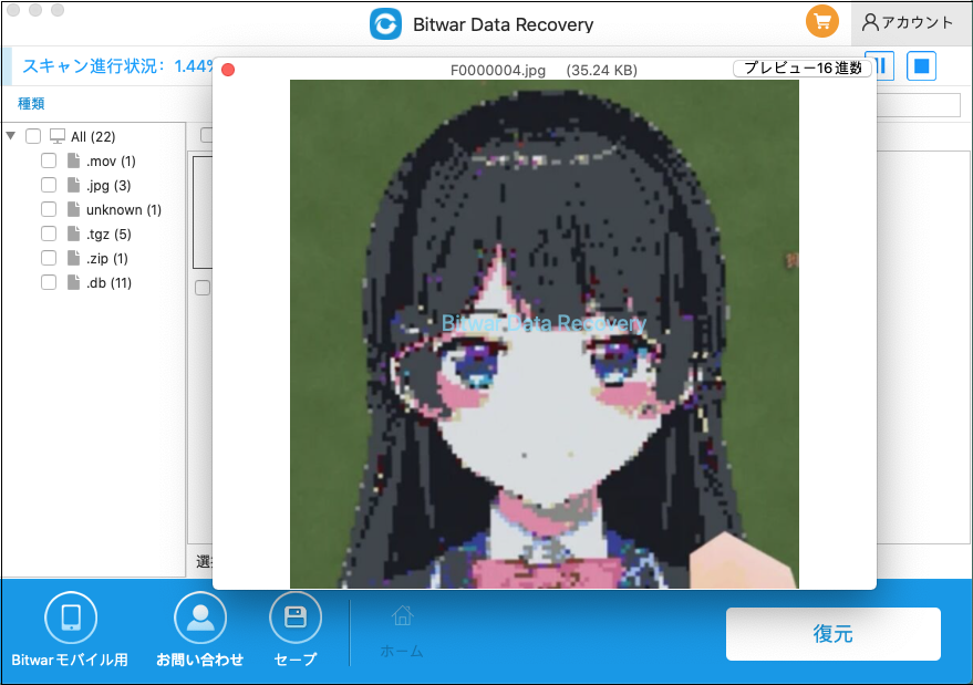 Bitwarデータ復旧プレビュー5